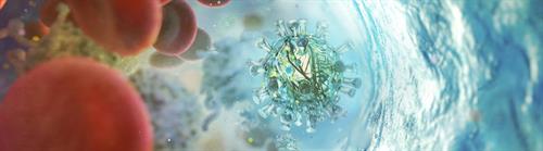 Visualisation SARS-CoV-2