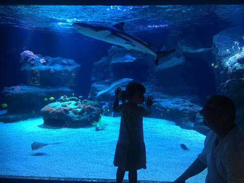 Aquazoo – Löbbecke Museum Düsseldorf