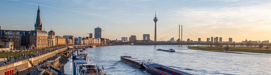 Ein Panorama-Foto der Düsseldorfer Skyline am Rhein während der goldenen Stunde. Auf der linken Seite erstreckt sich die Rheinuferpromenade mit der St.-Lambertus-Kirche und dem Schlossturm im Vordergrund. Der breite Fluss ist belebt mit mehreren großen Frachtschiffen, die flussabwärts fahren. Im Hintergrund, auf der rechten Seite, ragt der Rheinturm (Fernsehturm) hoch auf, flankiert von der modernen Kniebrücke und weiteren markanten Gebäuden wie dem Stadttor. Der Sonnenuntergang taucht den Himmel in warme Gelb-, Orange- und Violetttöne, die sich auf der Wasseroberfläche spiegeln. Auf der rechten Seite ist die weite Oberkasseler Rheinwiese zu sehen.