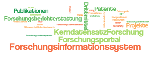 Wortwolke aus den Begriffen Forschungsisnformationssystem, KerndatensatzForschung, Forschungsportal, Forschungsberichterstattung, Forschungsschwerpunkte, Forschungsaktivitäten, Publikationen, Drittmittel