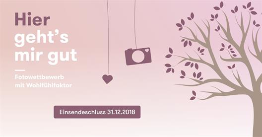 Mona photocontest