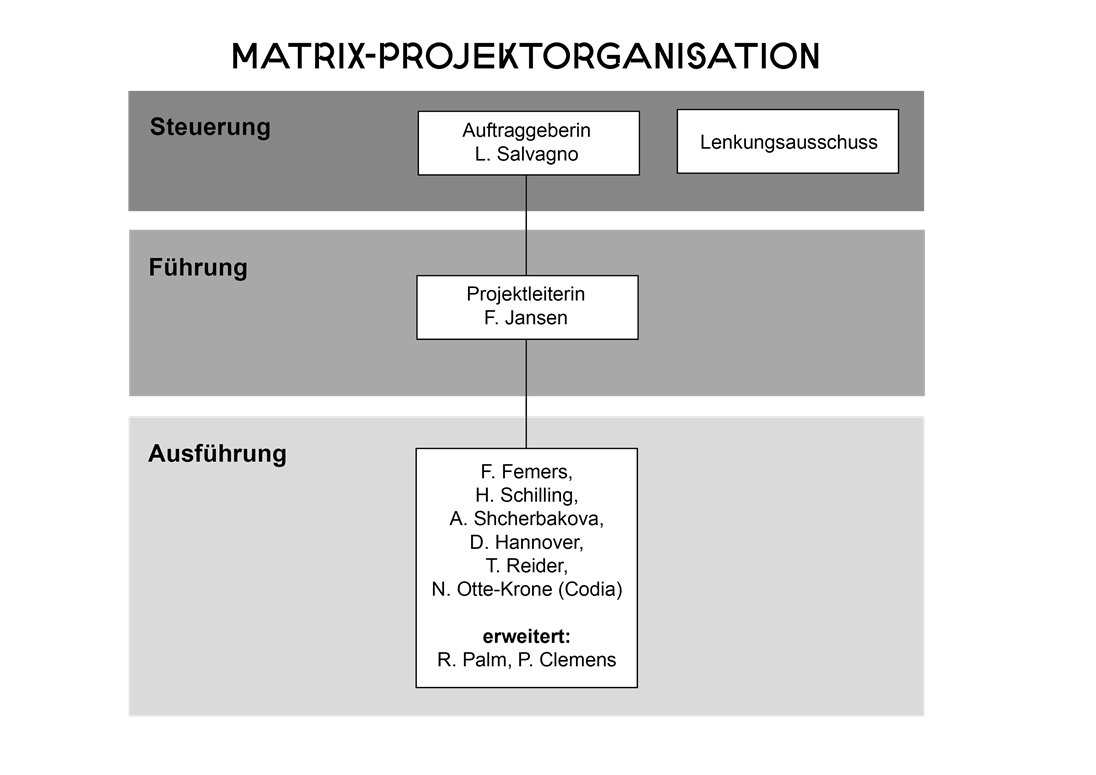 Grafik Projektorganisation